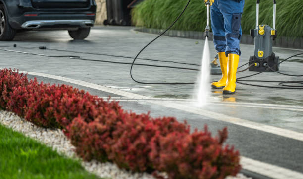 Best Sidewalk and Walkway Cleaning  in Aquia Harbour, VA